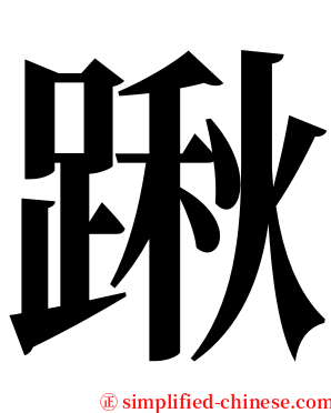 踿 serif font