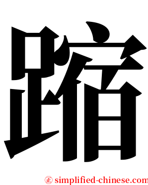 蹜 serif font