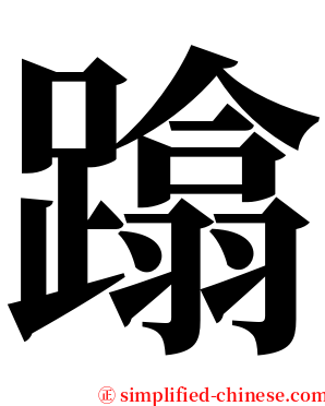 蹹 serif font