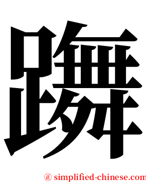 躌 serif font