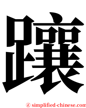 躟 serif font