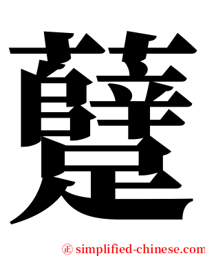 躠 serif font