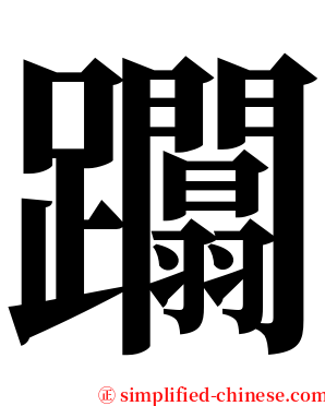 躢 serif font