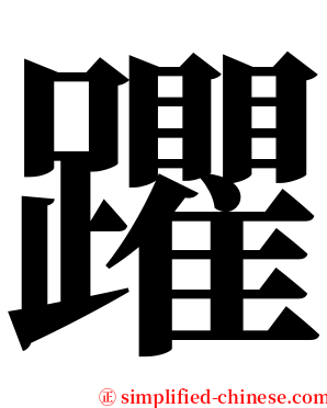 躣 serif font