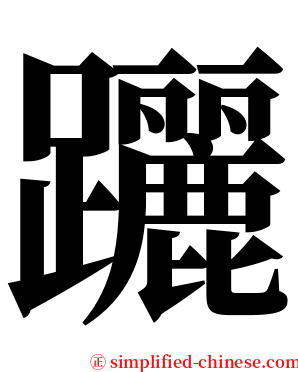 躧 serif font