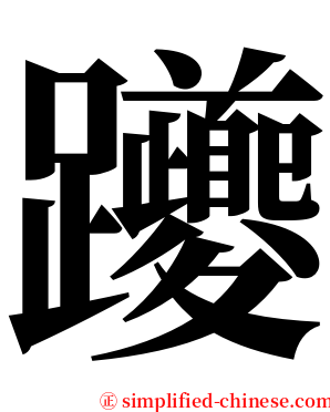 躨 serif font