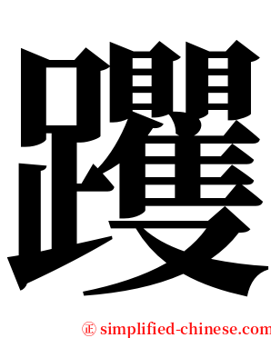 躩 serif font