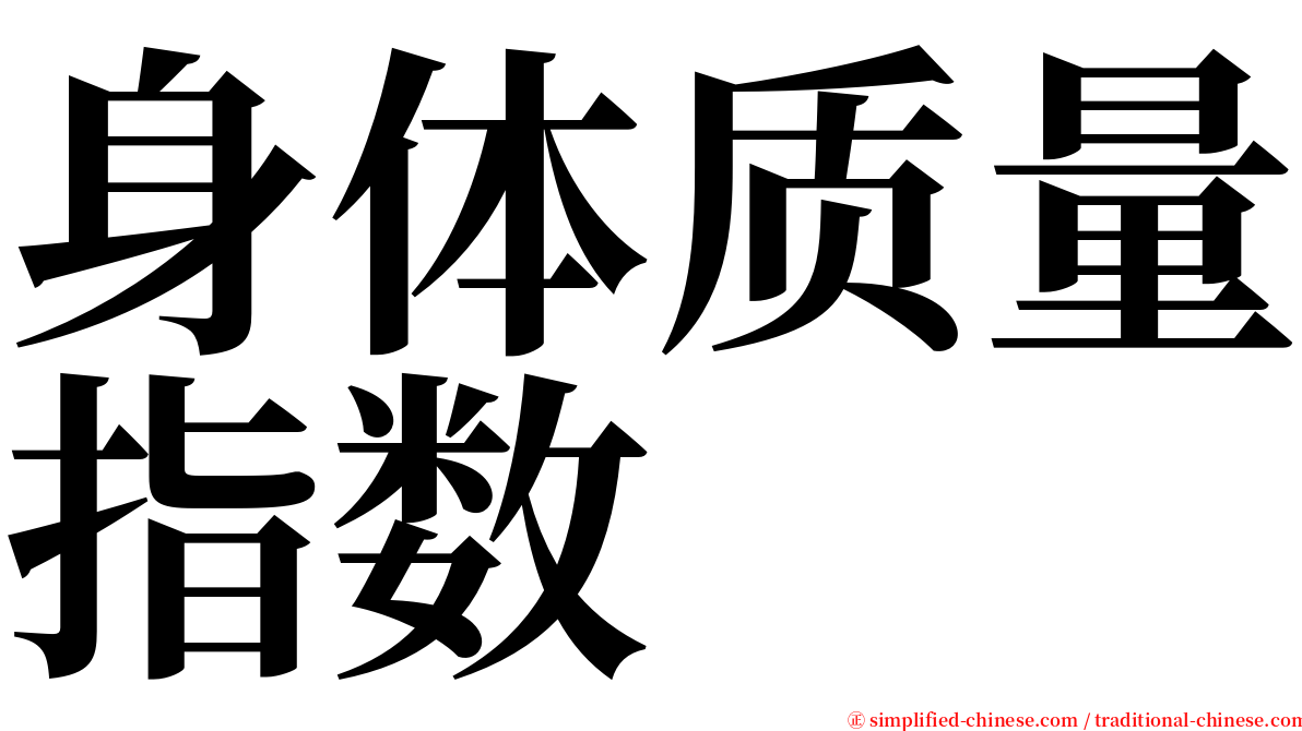 身体质量指数 serif font
