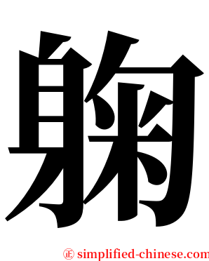 躹 serif font