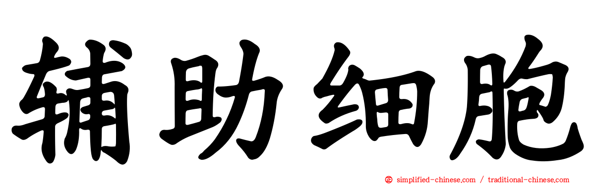 辅助细胞