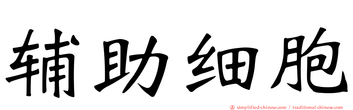 辅助细胞
