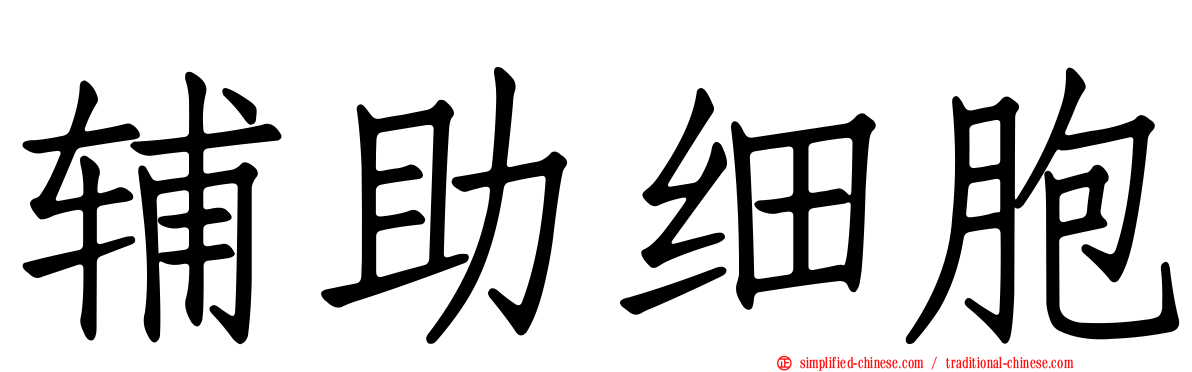 辅助细胞