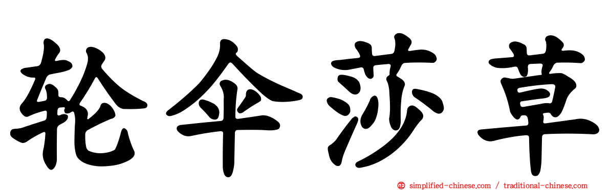 轮伞莎草