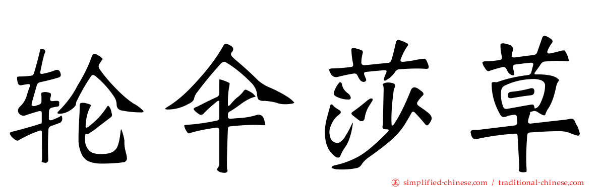 轮伞莎草