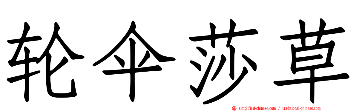 轮伞莎草