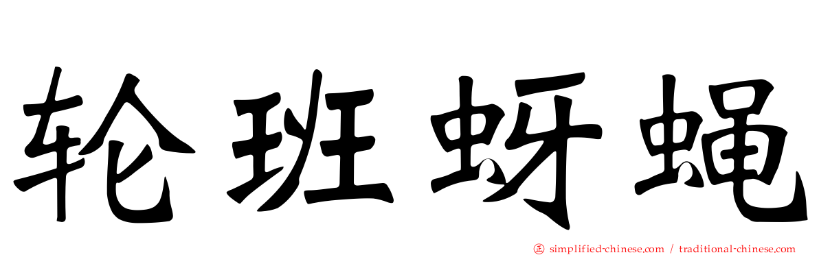 轮班蚜蝇