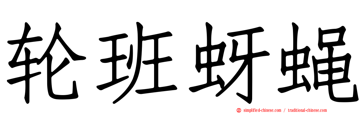 轮班蚜蝇