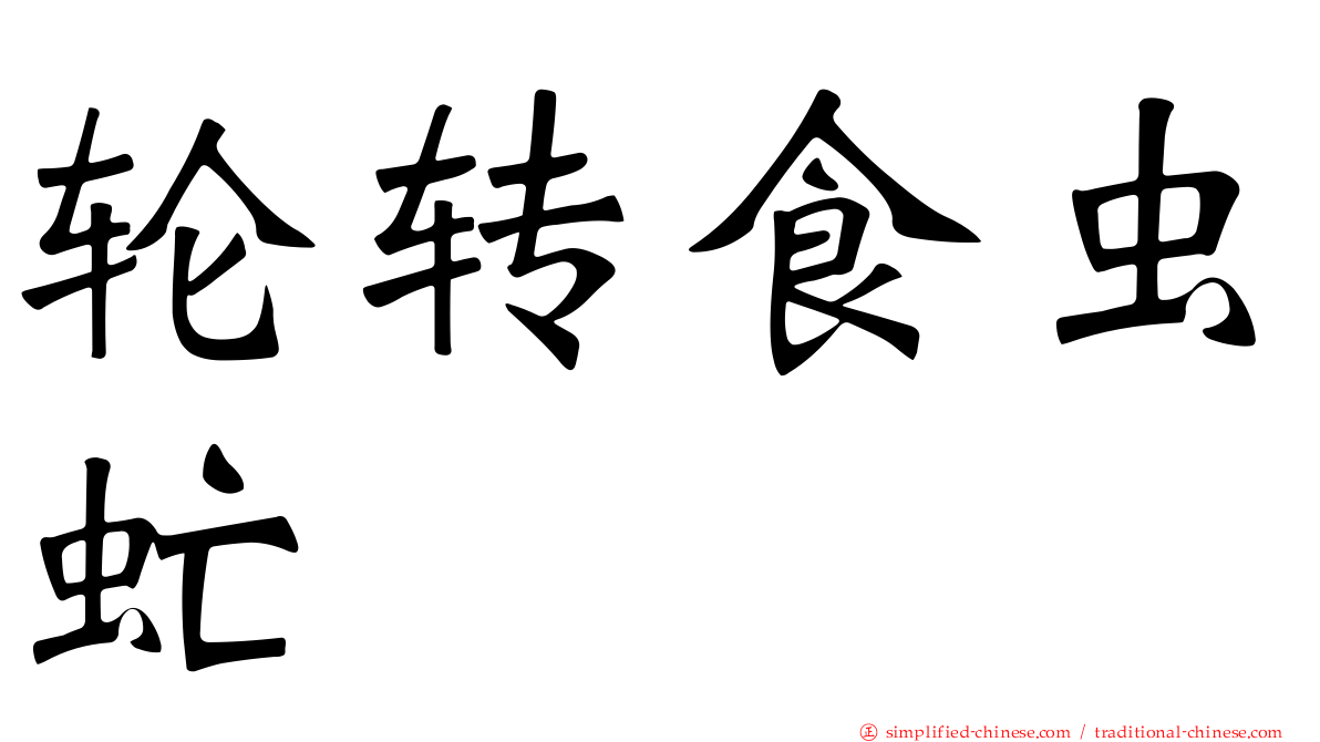 轮转食虫虻