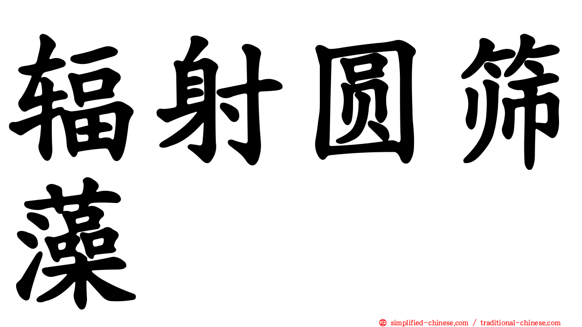 辐射圆筛藻