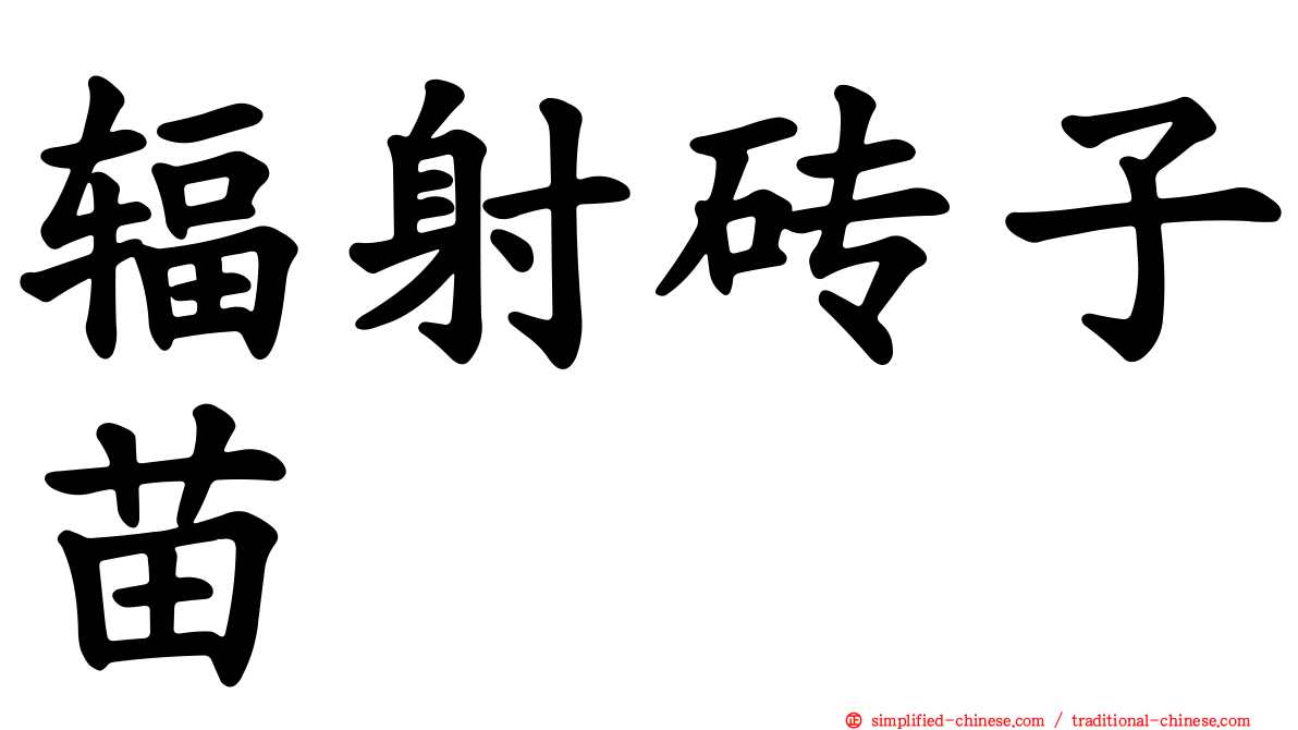辐射砖子苗