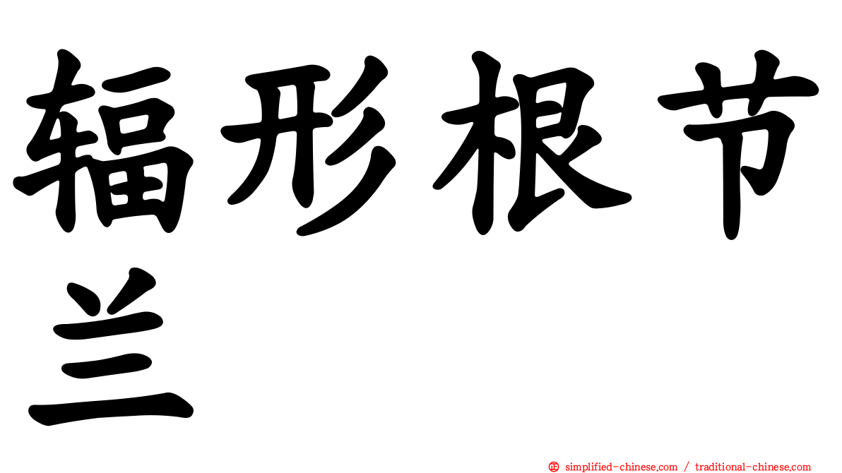 辐形根节兰