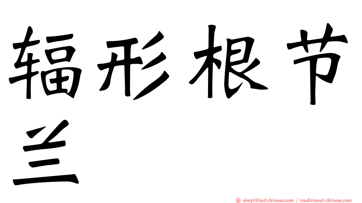 辐形根节兰
