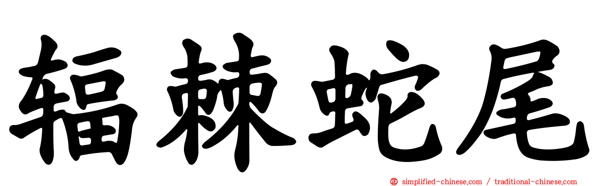 辐棘蛇尾