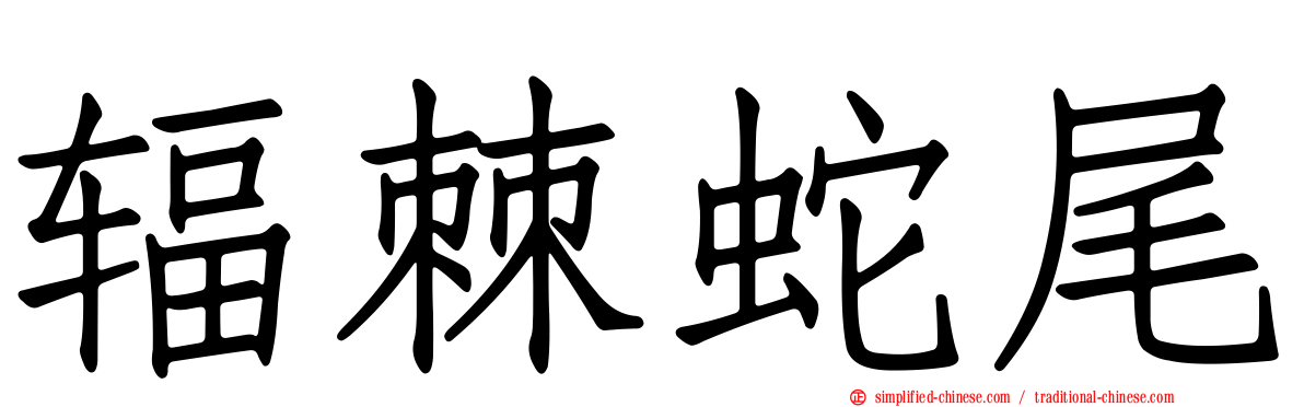 辐棘蛇尾