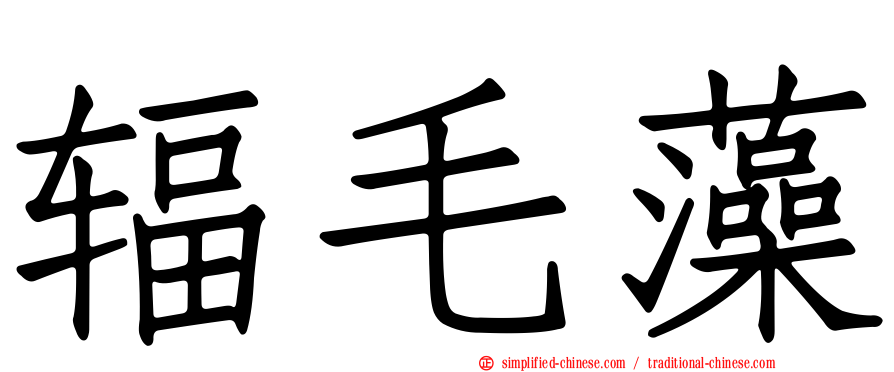 辐毛藻