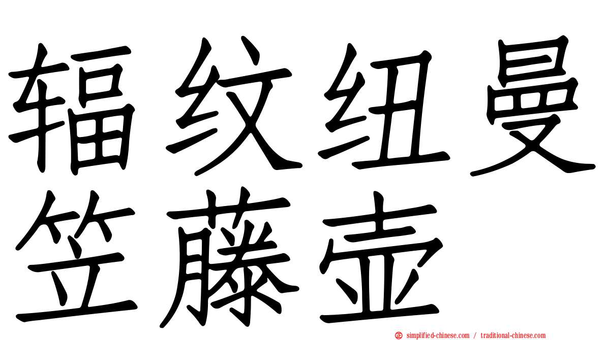 辐纹纽曼笠藤壶