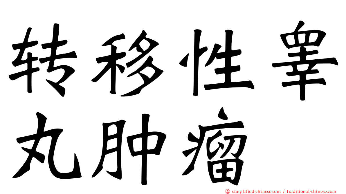 转移性睾丸肿瘤