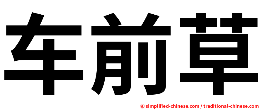 车前草