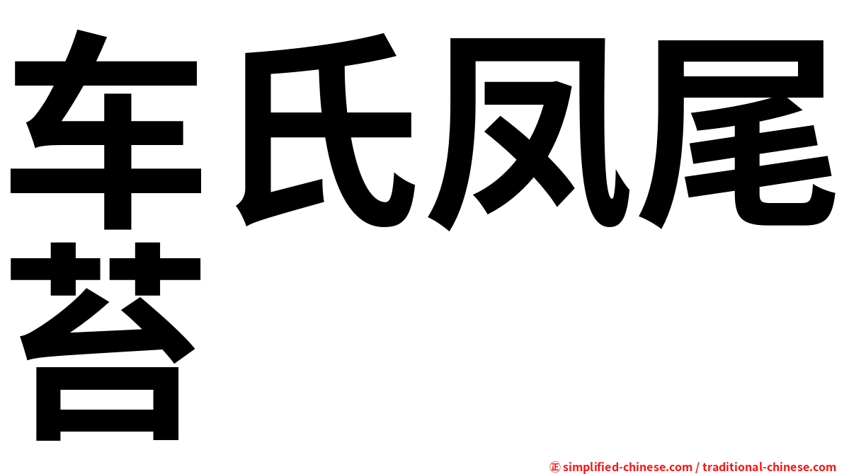 车氏凤尾苔