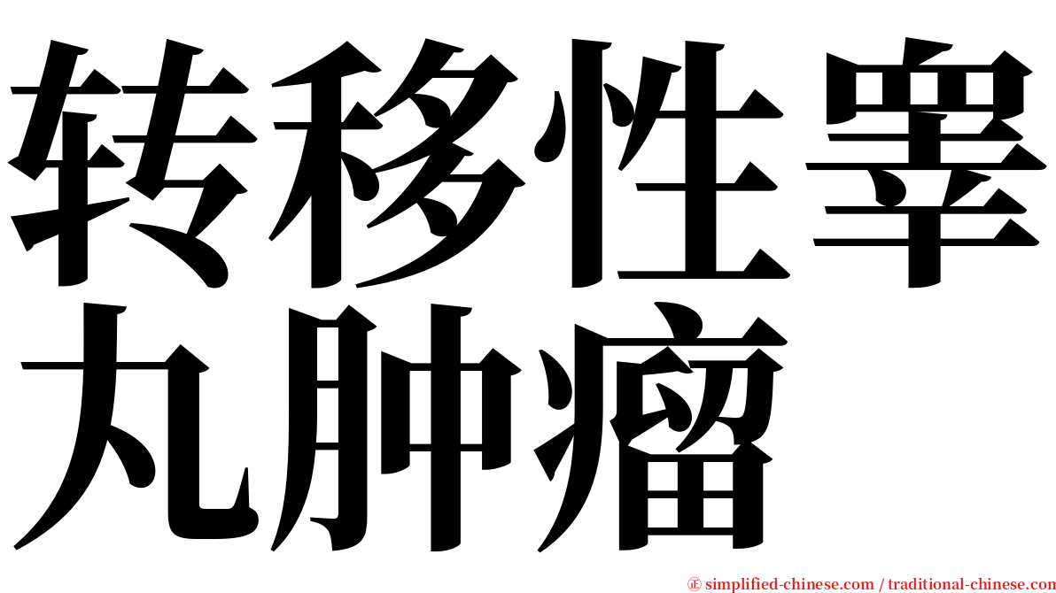 转移性睾丸肿瘤 serif font