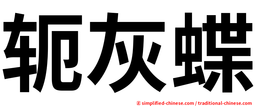 轭灰蝶