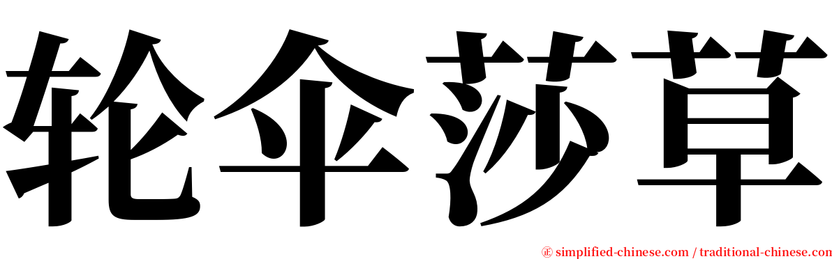轮伞莎草 serif font