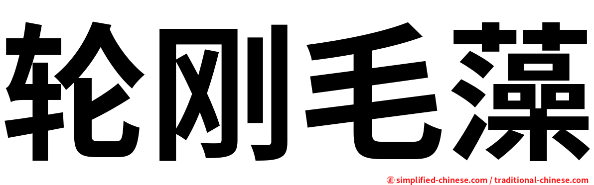 轮刚毛藻