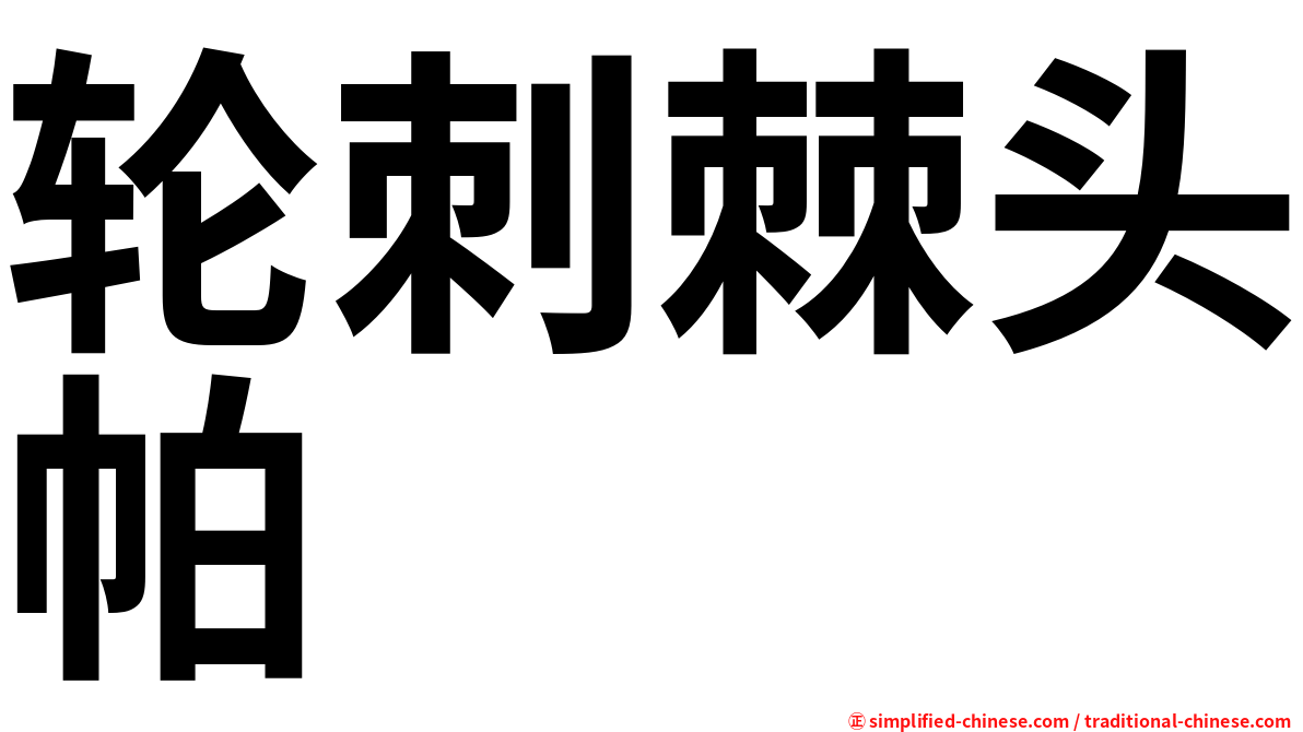 轮刺棘头帕