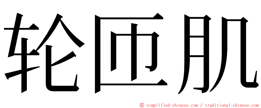 轮匝肌 ming font