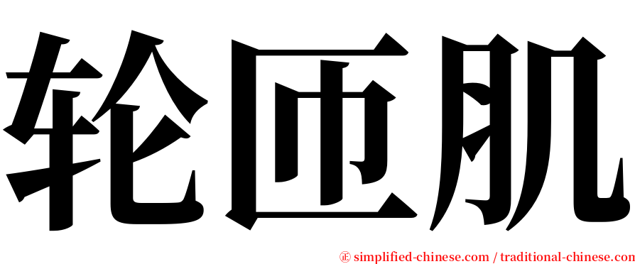 轮匝肌 serif font
