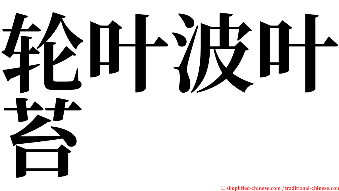 轮叶波叶苔 serif font