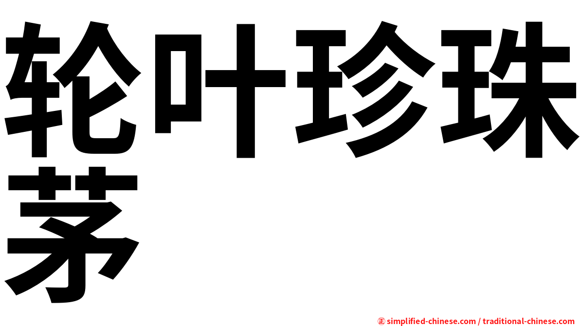 轮叶珍珠茅