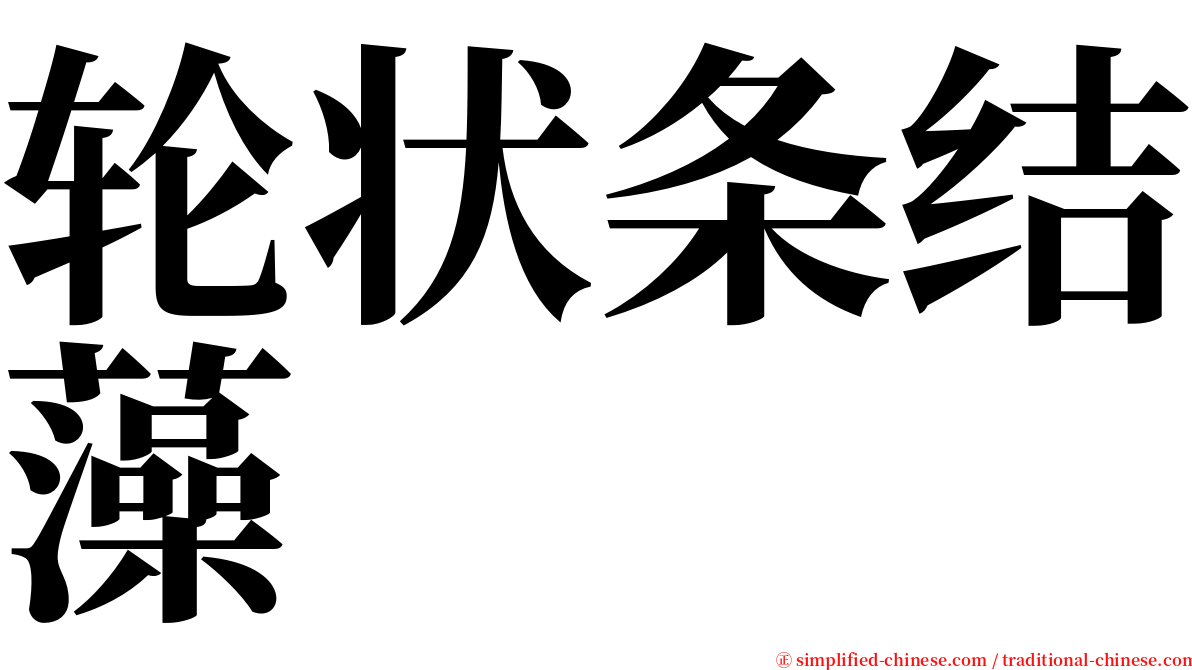 轮状条结藻 serif font