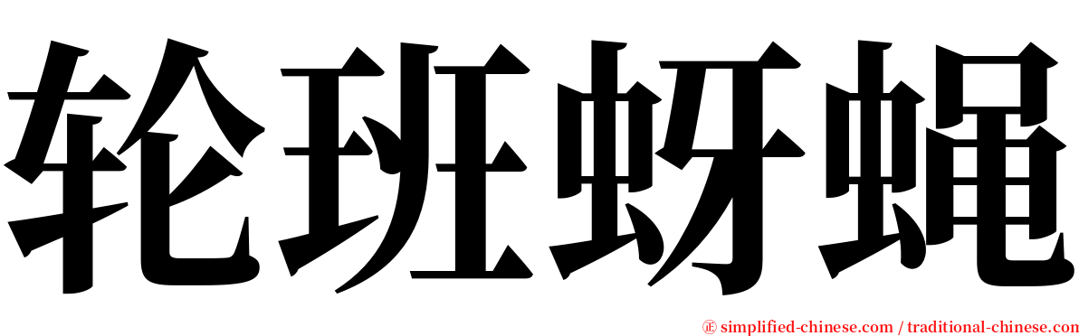 轮班蚜蝇 serif font