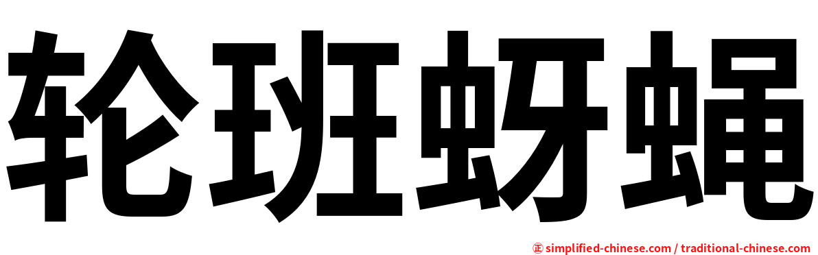 轮班蚜蝇