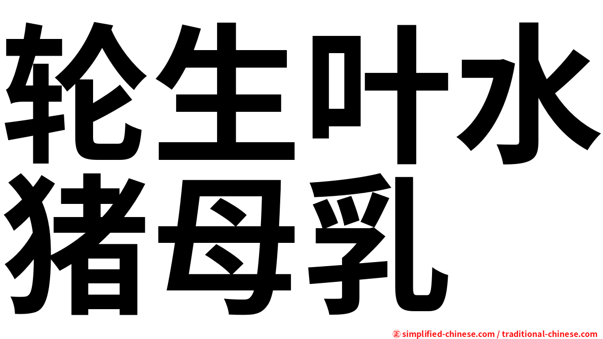 轮生叶水猪母乳