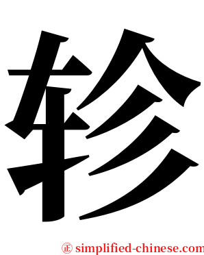 轸 serif font