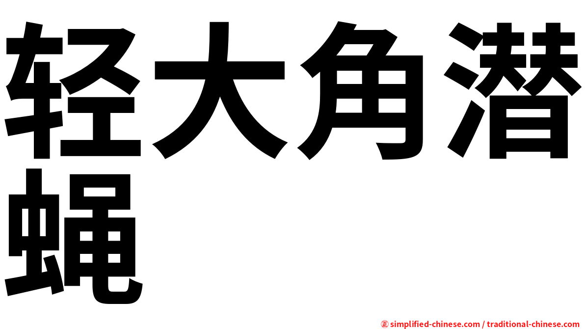 轻大角潜蝇