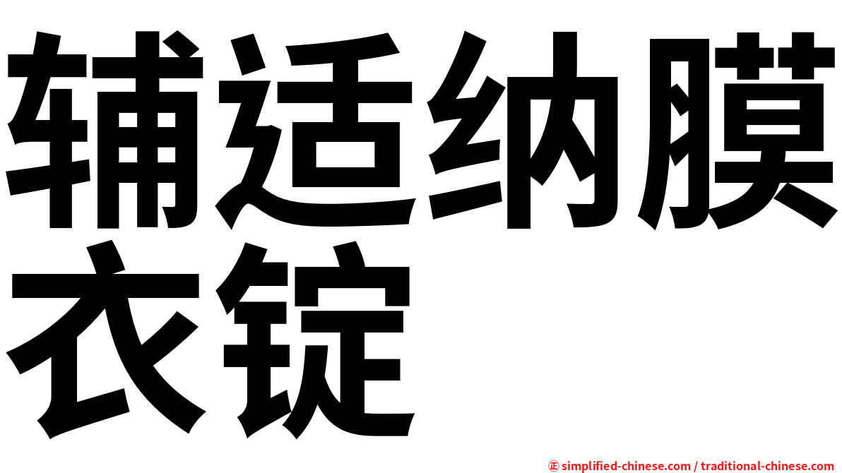 辅适纳膜衣锭