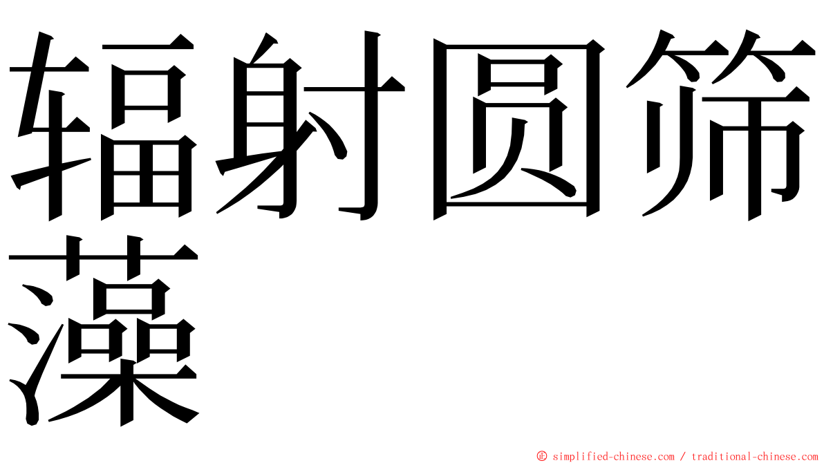 辐射圆筛藻 ming font